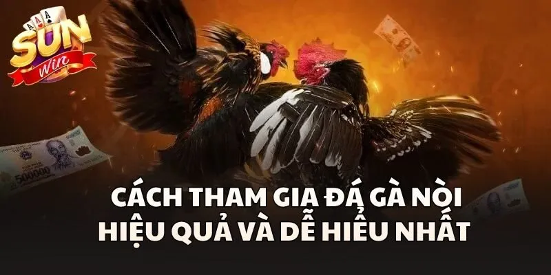 Cách tham gia Đá Gà Nòi hiệu quả và dễ hiểu nhất 