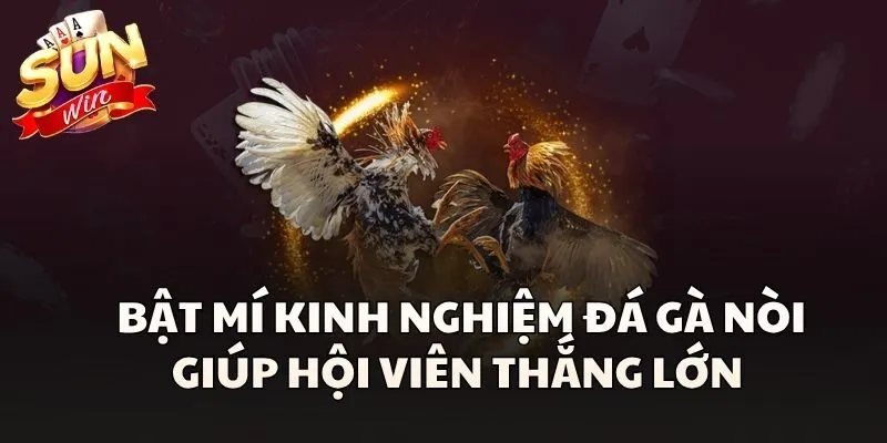 Bật mí kinh nghiệm Đá Gà Nòi giúp hội viên thắng lớn