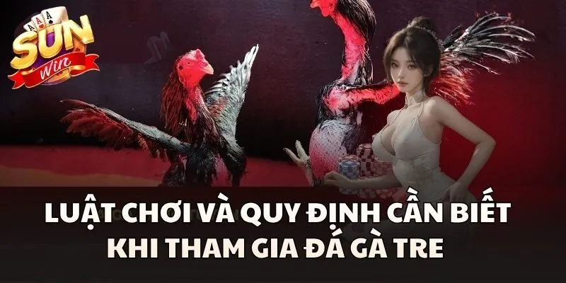 Luật chơi và quy định cần biết khi tham gia Đá Gà Tre 