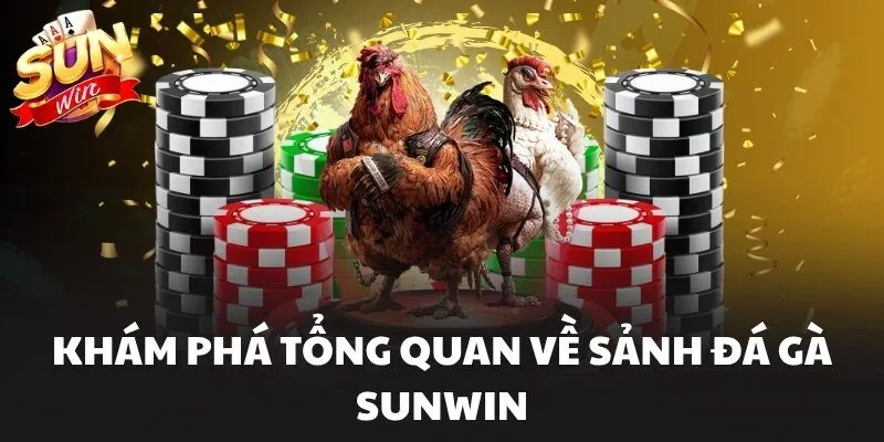 Khám phá tổng quan về sảnh Đá Gà Sunwin