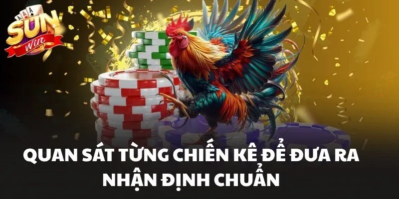 Quan sát từng chiến kê để đưa ra nhận định chuẩn